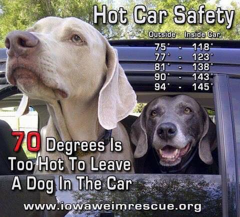 hot-weather-chart